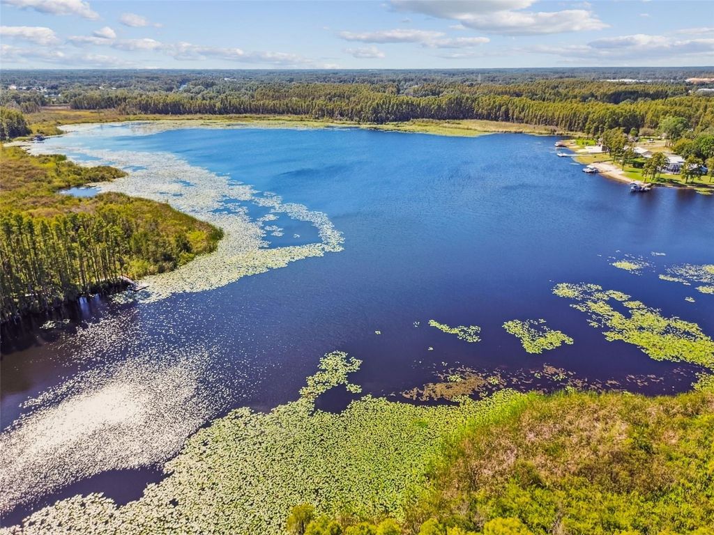 Photo of 1627 Hammocks Avenue, Lutz, FL 33549 (MLS # TB8440737)