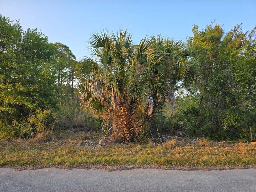 Photo of 13510 Suribachi Avenue, Port Charlotte, FL 33953 (MLS # C7506818)