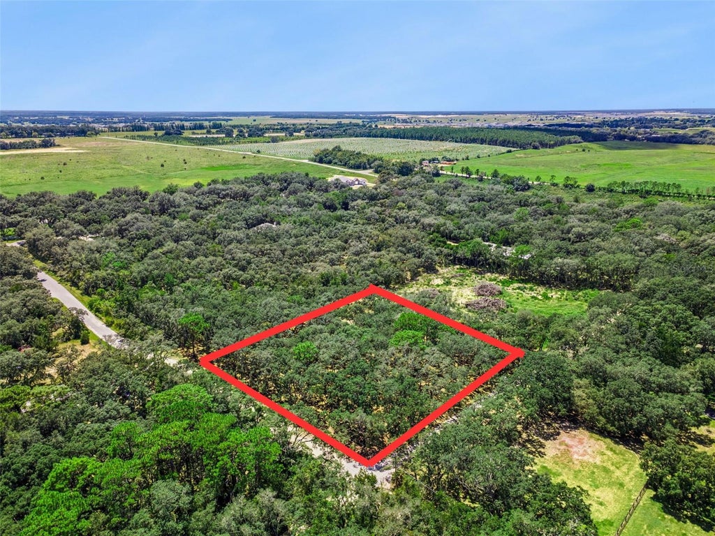 Photo of 17206 Red Bird Road, Winter Garden, FL 34787 (MLS # O6441311)