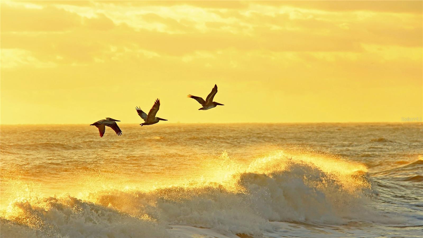 INDIAN LAKE ESTATES - Land