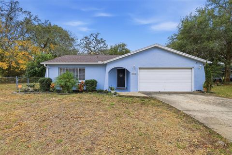 8914 WOODMILL DRIVE HUDSON FL 34667
