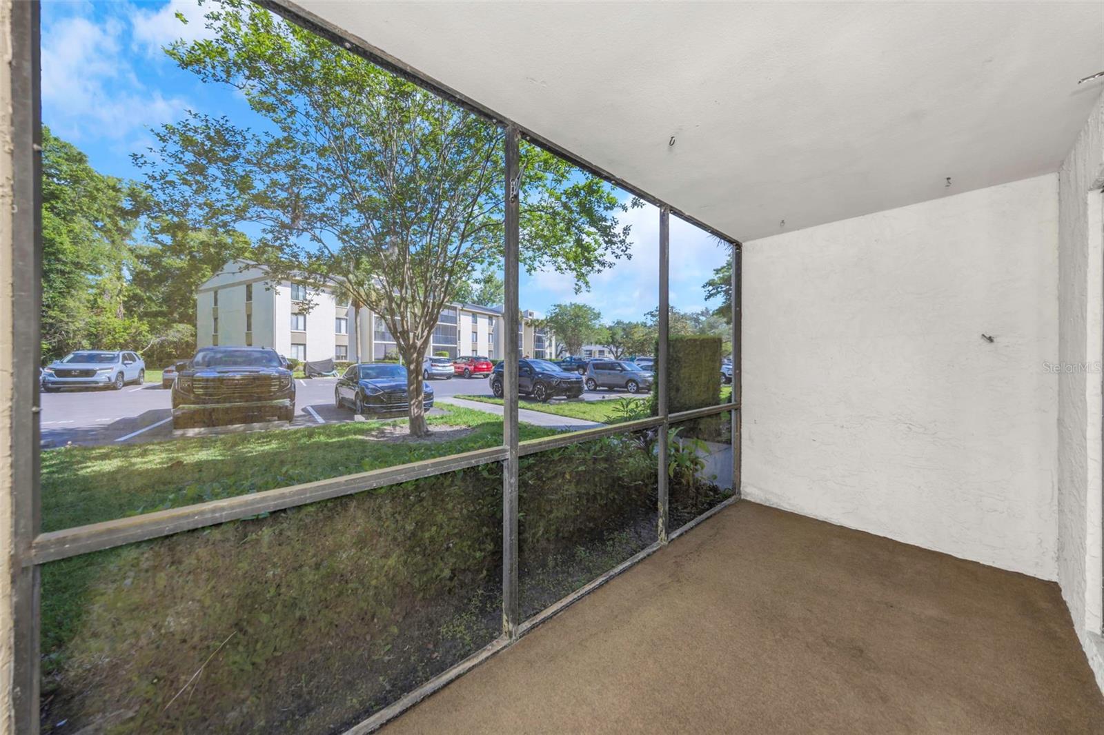 PINE RIDGE AT LAKE TARPON VILLAGE - Residential