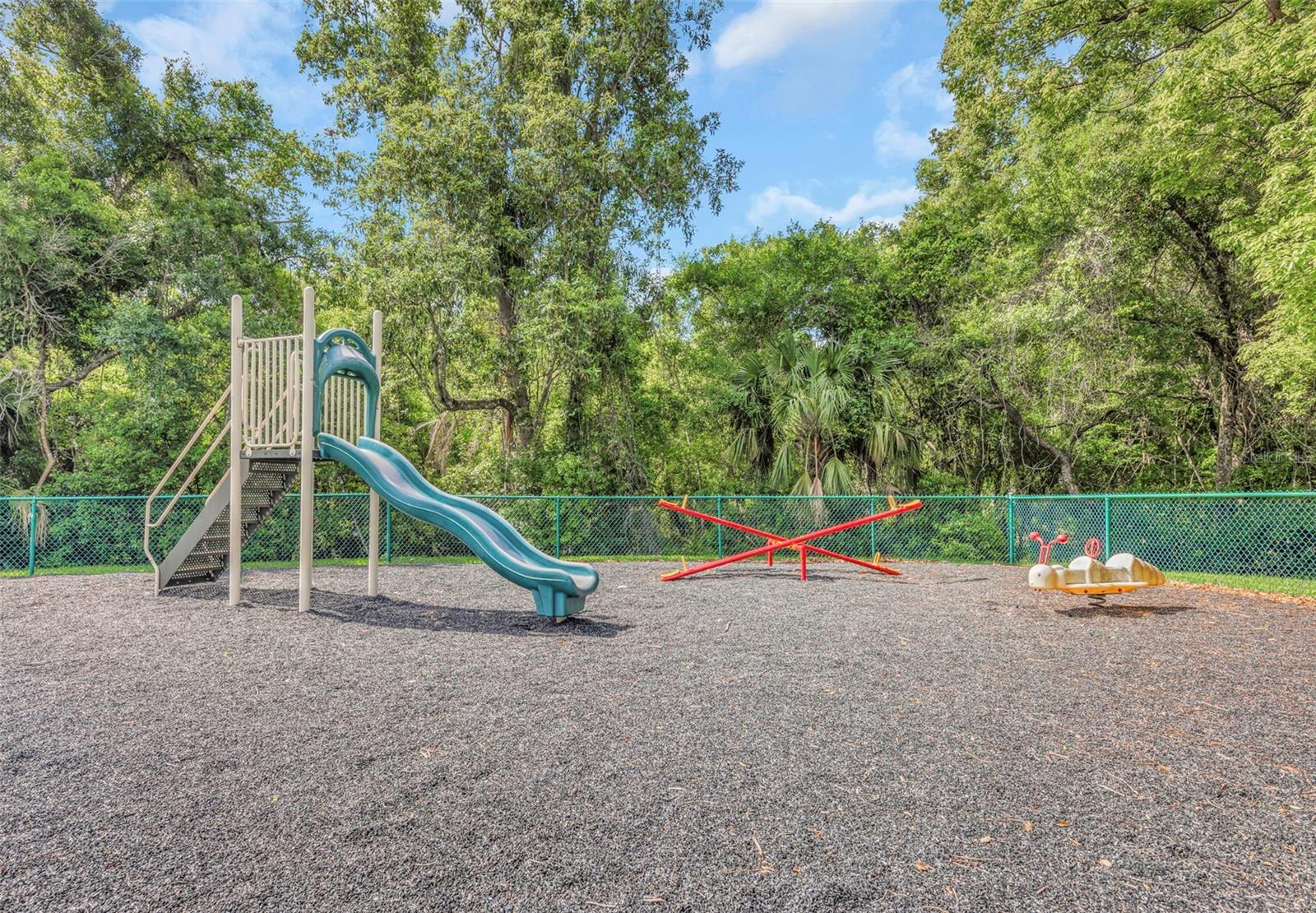 PINE RIDGE AT LAKE TARPON VILLAGE - Residential