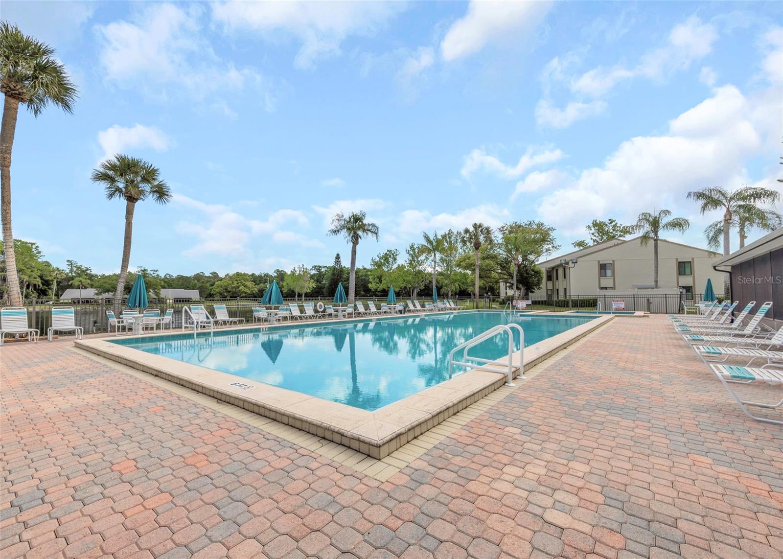 PINE RIDGE AT LAKE TARPON VILLAGE - Residential