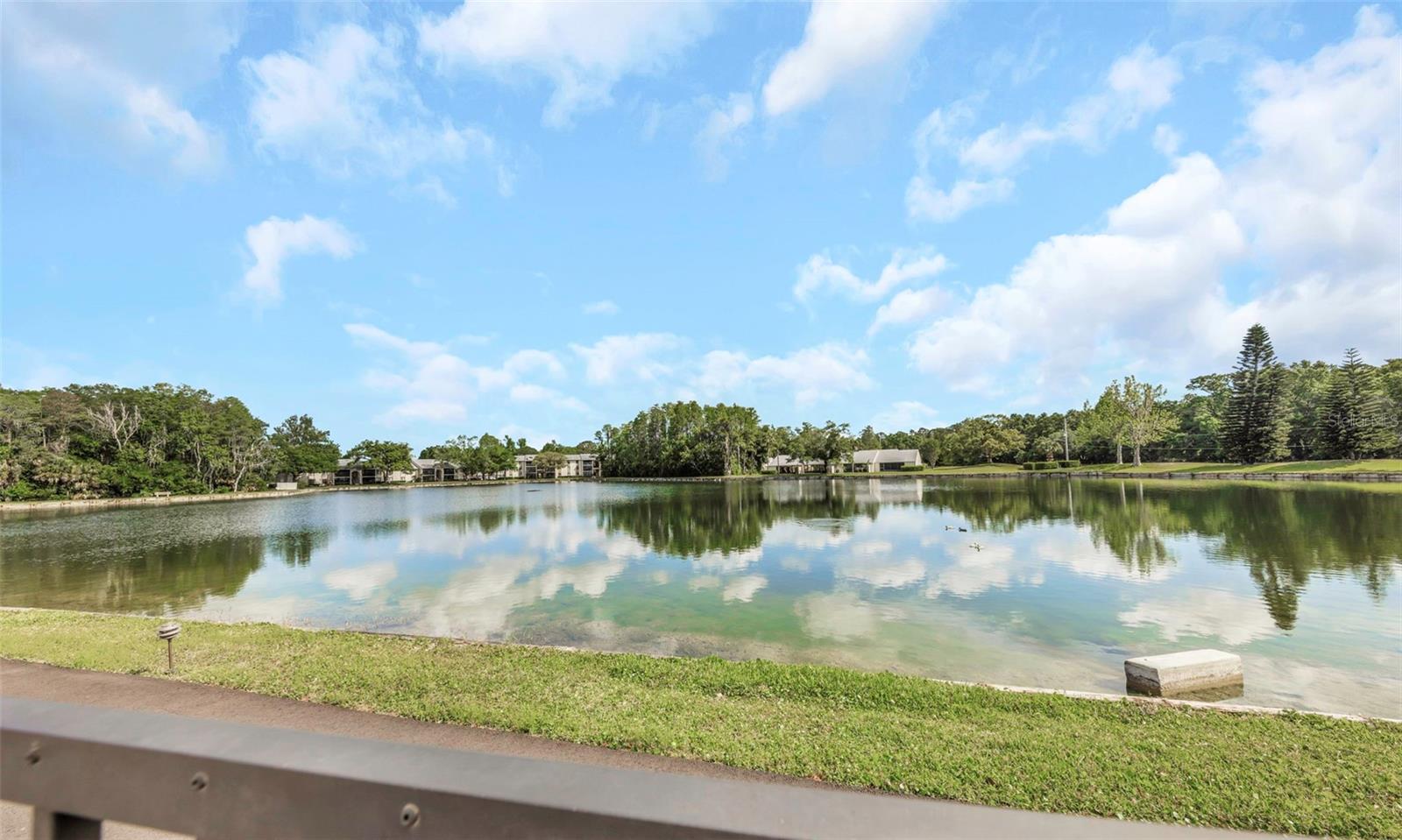 PINE RIDGE AT LAKE TARPON VILLAGE - Residential