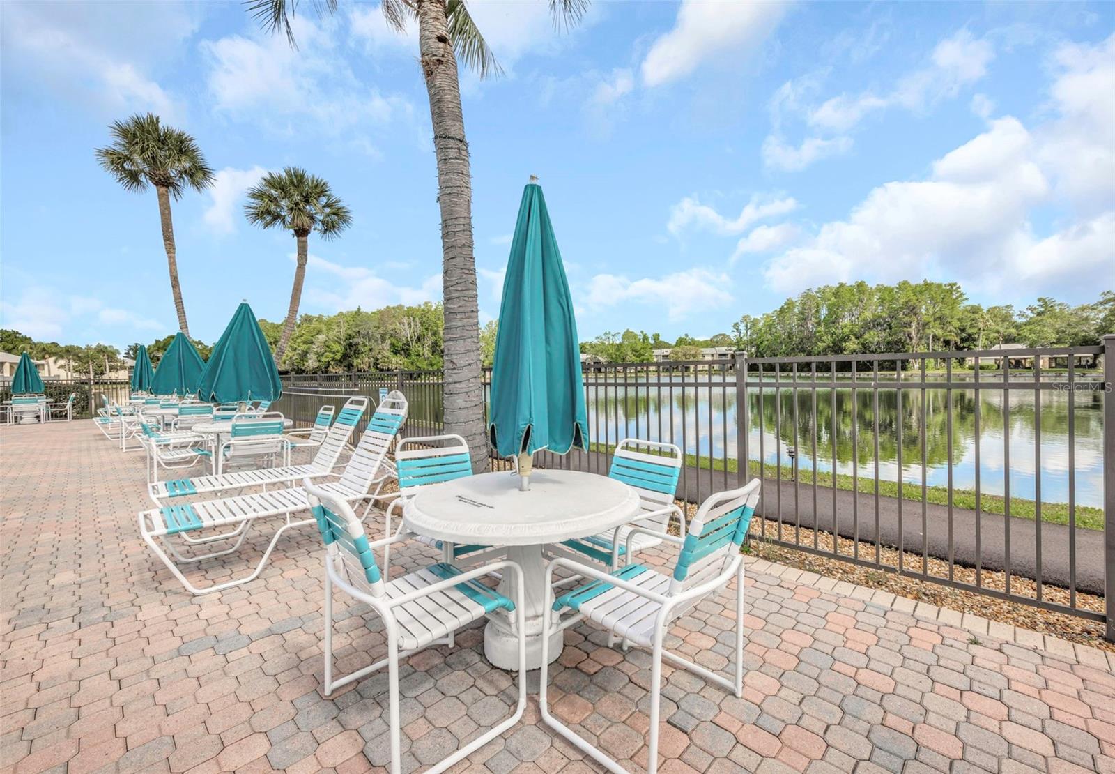 PINE RIDGE AT LAKE TARPON VILLAGE - Residential