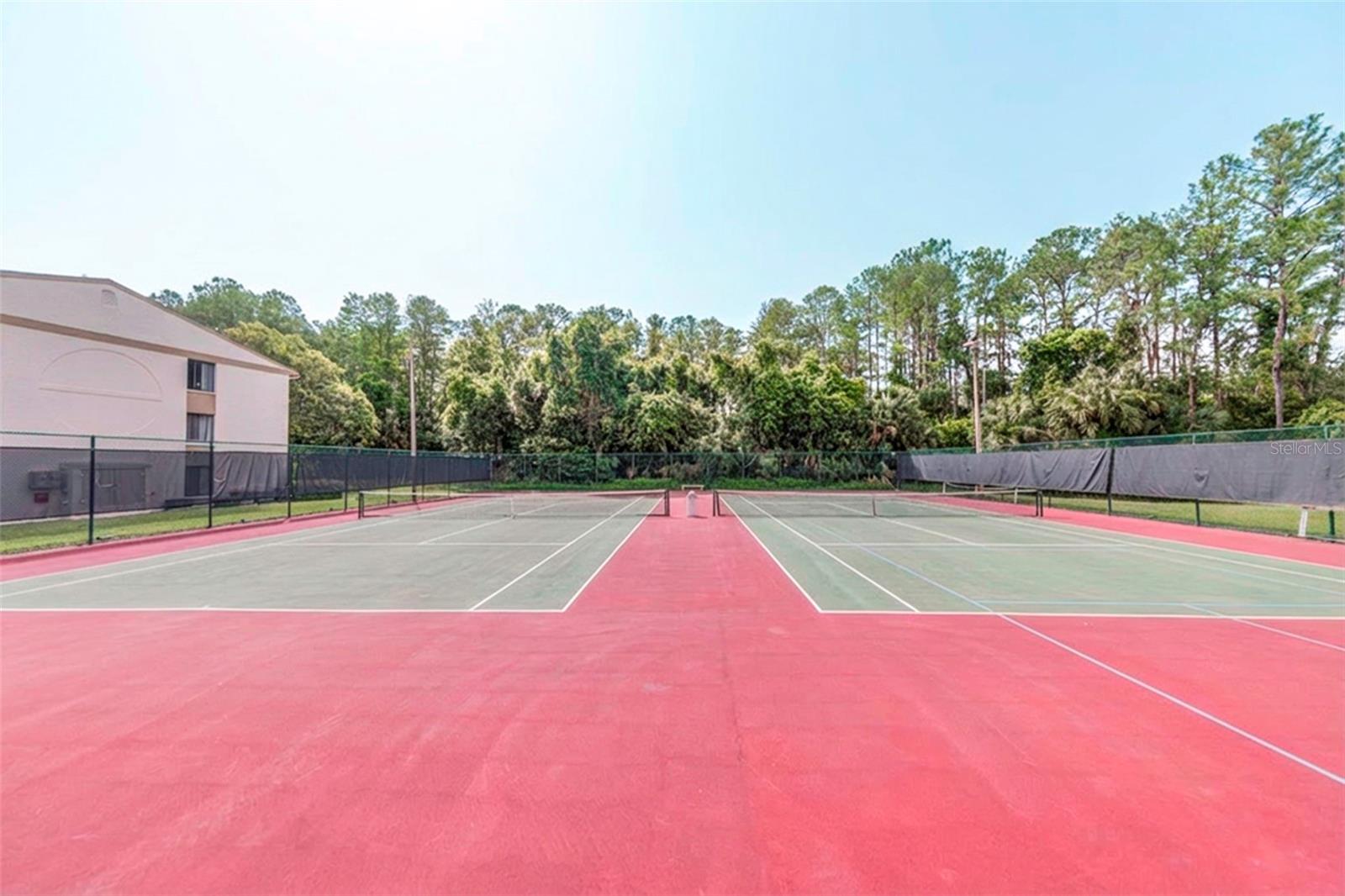 PINE RIDGE AT LAKE TARPON VILLAGE - Residential