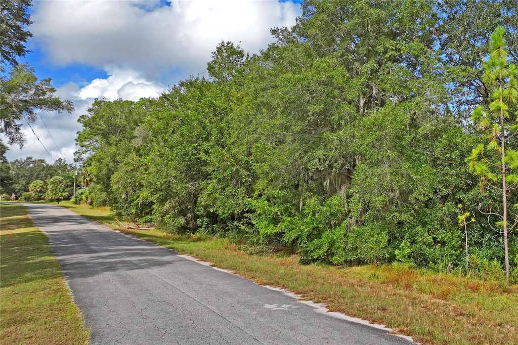 Photo of 6720 N Paraqua Circle, Crystal River, FL 34428 (MLS # W7879697)