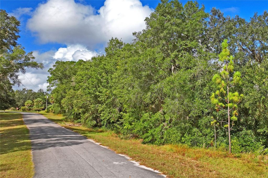Photo of 6720 N Paraqua Circle, Crystal River, FL 34428 (MLS # W7879697)