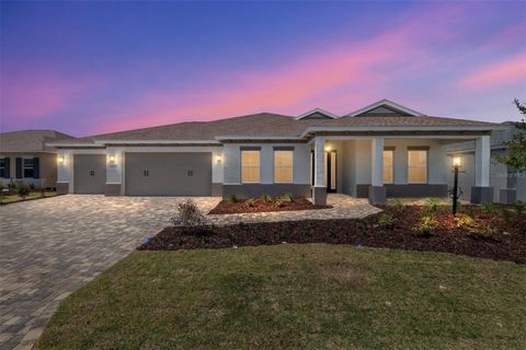 Photo of 8528 SW 101st Avenue, Ocala, FL 34481 (MLS # OM722999)
