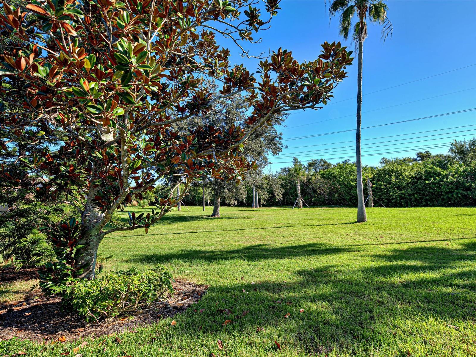 VENETIAN FALLS PH 2 - Residential