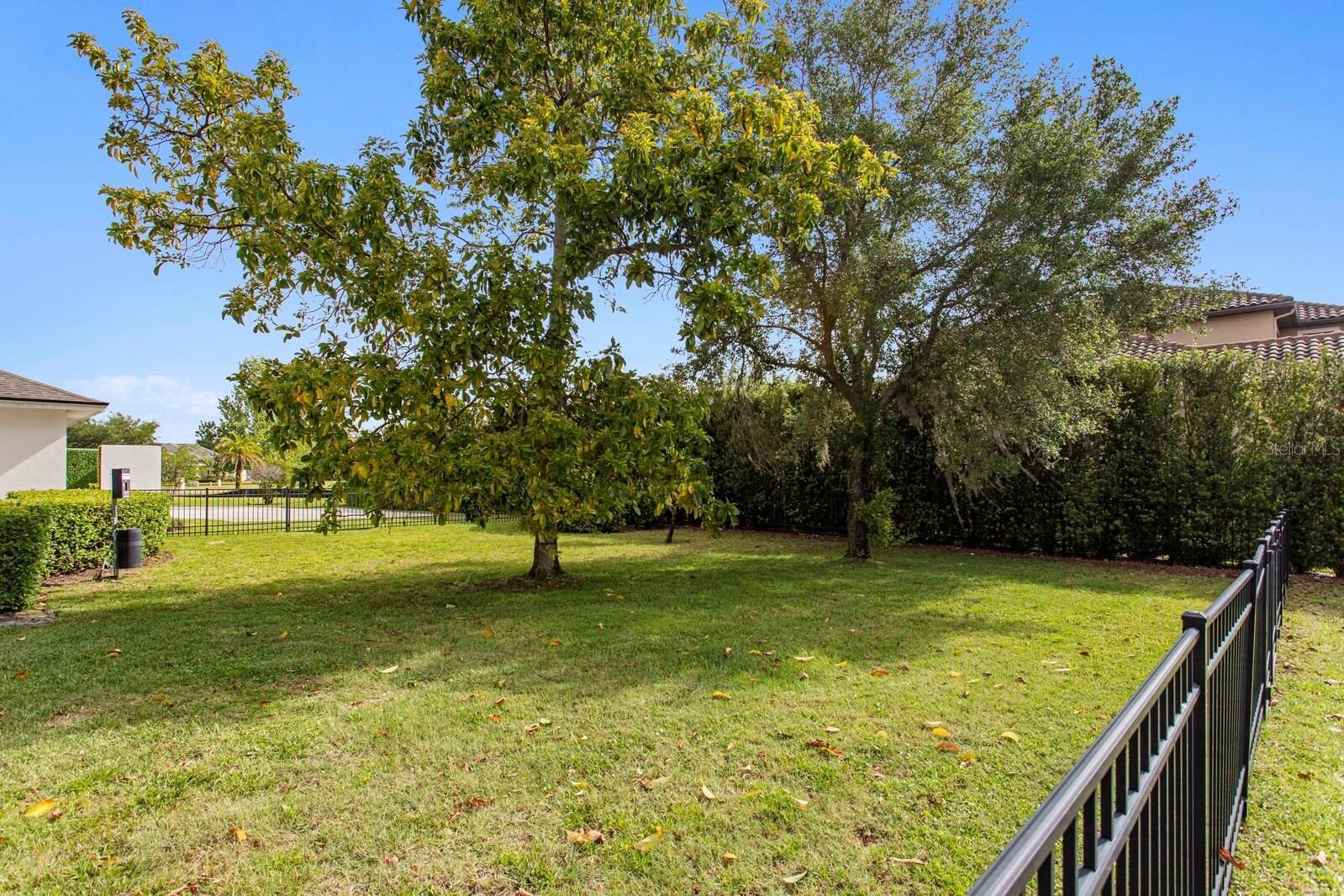 17253 BREEDERS CUP DRIVE