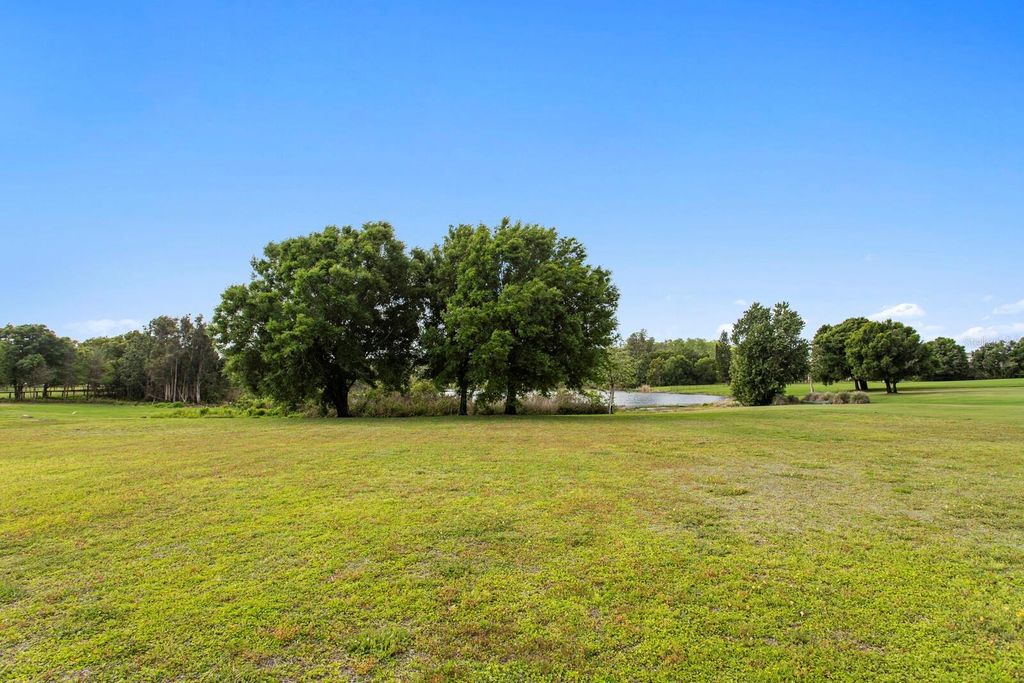 Photo of 17253 Breeders Cup Drive, Odessa, FL 33556 (MLS # TB8477302)