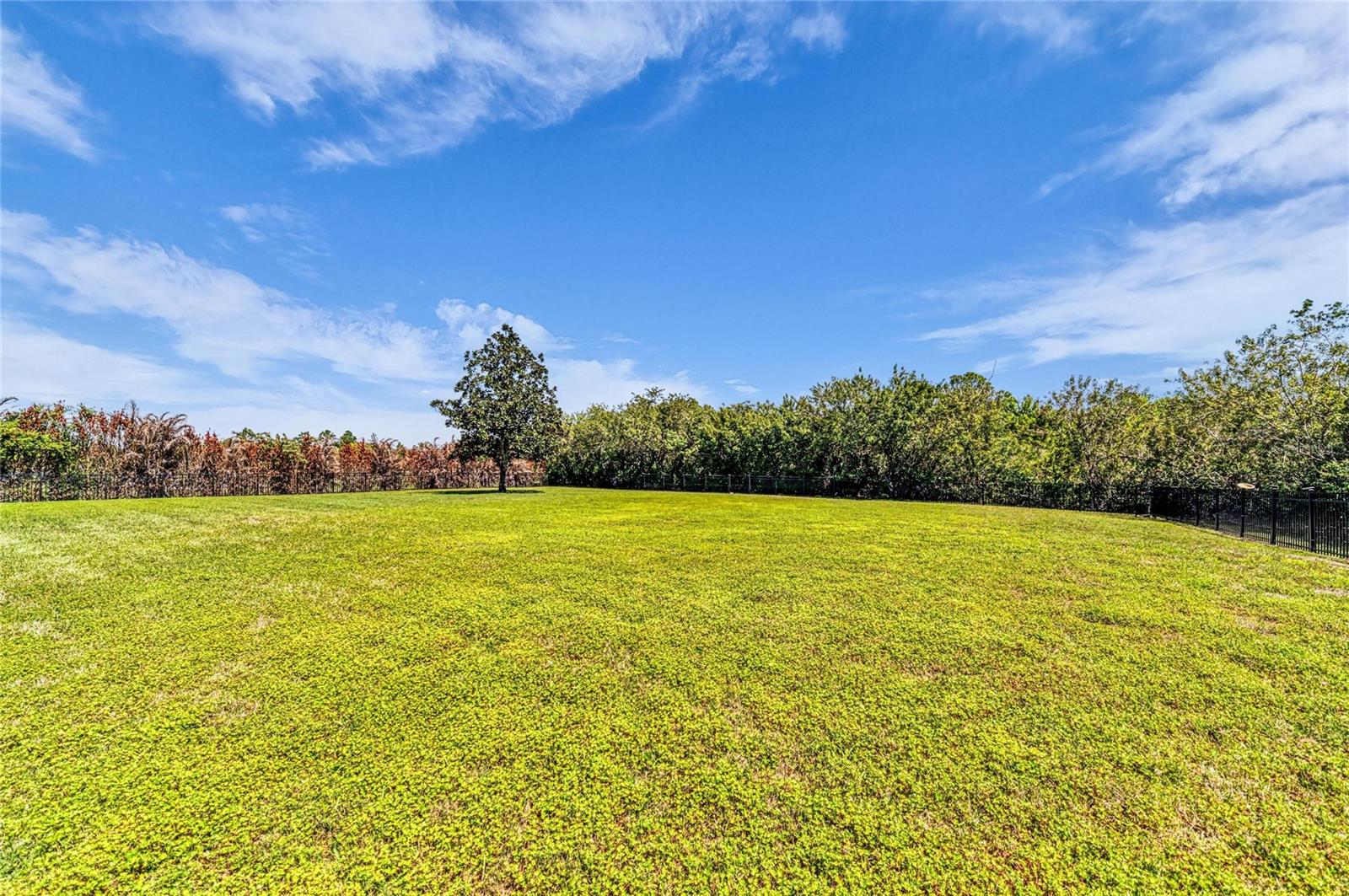 PRESERVE AT PANTHER RIDGE PH III - Residential