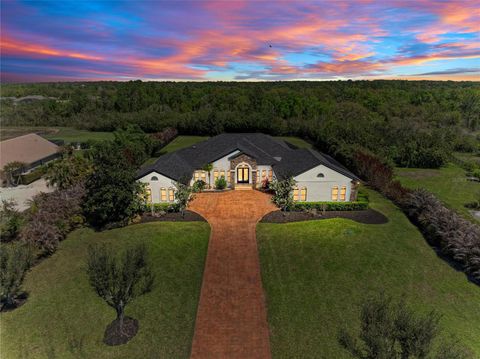 Photo of 22805 Night Heron Way, Bradenton, FL 34202 (MLS # A4685448)