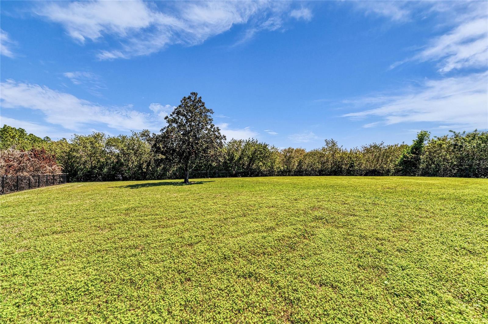 PRESERVE AT PANTHER RIDGE PH III - Residential