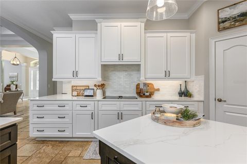 Tiny photo for 25519 Hawks Run Ln, Sorrento, FL 32776 (MLS # O6299259)