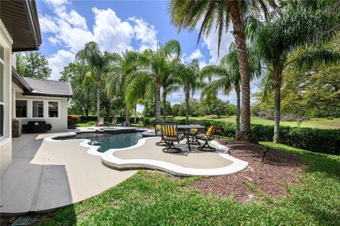 Tiny photo for 25519 Hawks Run Ln, Sorrento, FL 32776 (MLS # O6299259)