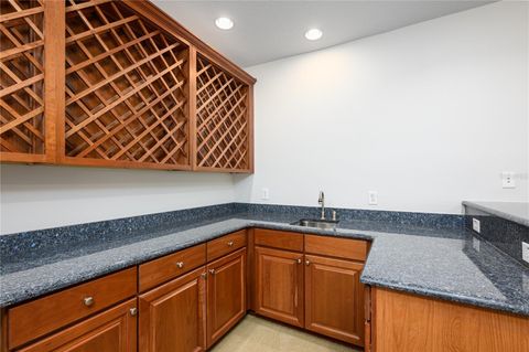 Tiny photo for 25519 Hawks Run Ln, Sorrento, FL 32776 (MLS # O6299259)