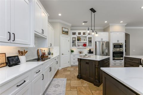 Tiny photo for 25519 Hawks Run Ln, Sorrento, FL 32776 (MLS # O6299259)