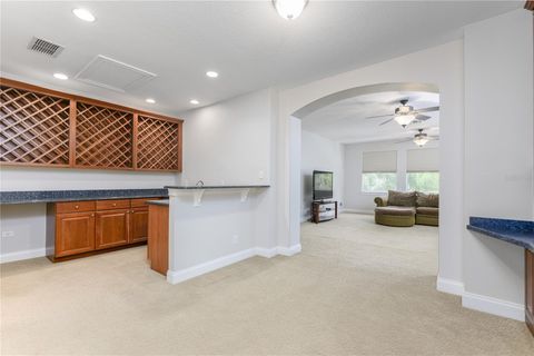 Tiny photo for 25519 Hawks Run Ln, Sorrento, FL 32776 (MLS # O6299259)