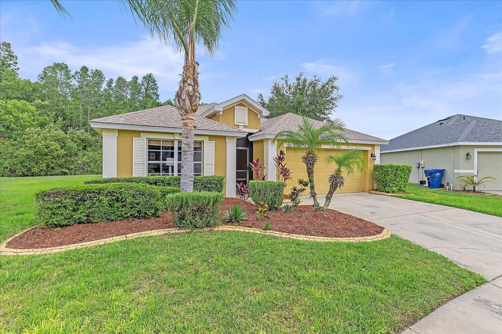 Photo of 5618 Sheer Bliss Loop, Land O Lakes, FL 34639 (MLS # A4653651)
