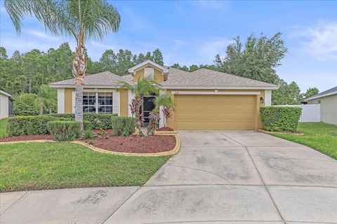 Photo of 5618 Sheer Bliss Loop, Land O Lakes, FL 34639 (MLS # A4653651)