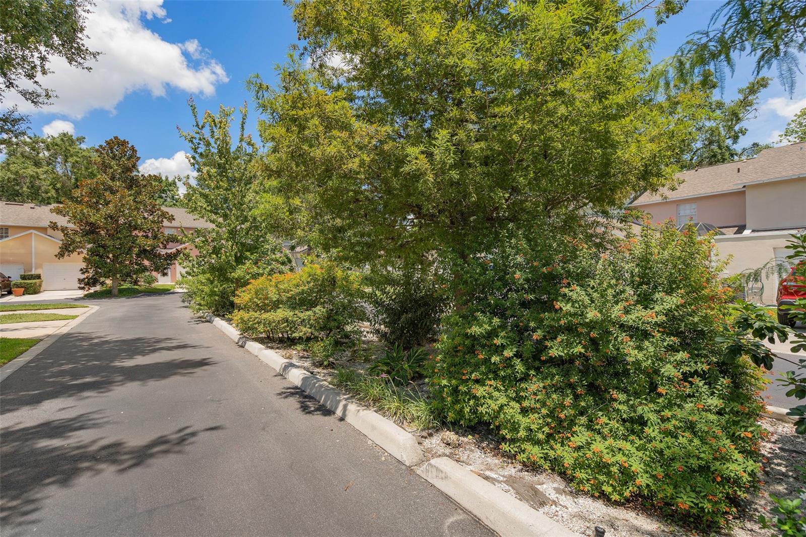 CHARLES TOWNE - Residential