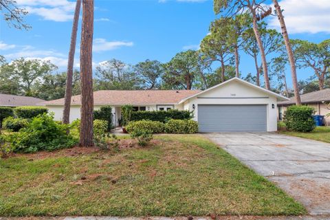 A home in SEMINOLE