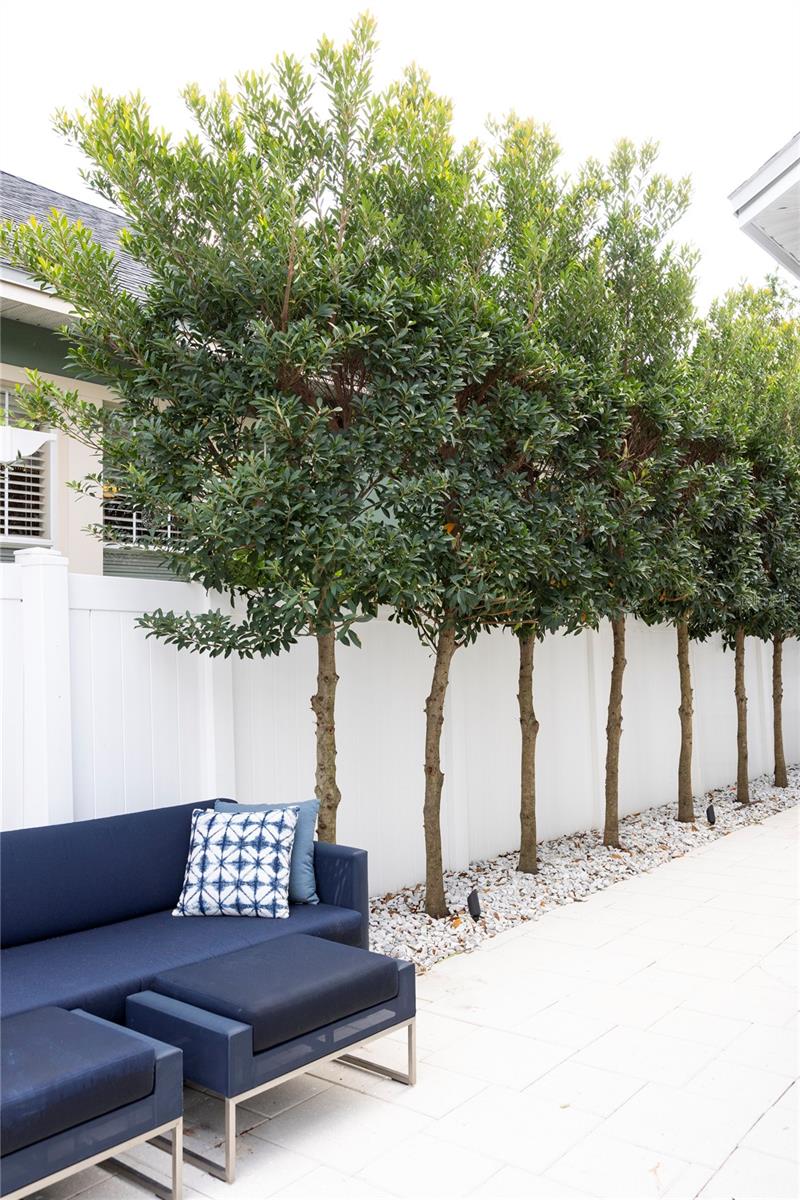 BALDWIN PARK - Residential