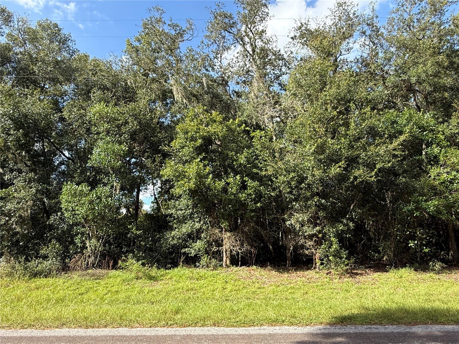 RIVER LAKES MANOR UNIT 01 - Land