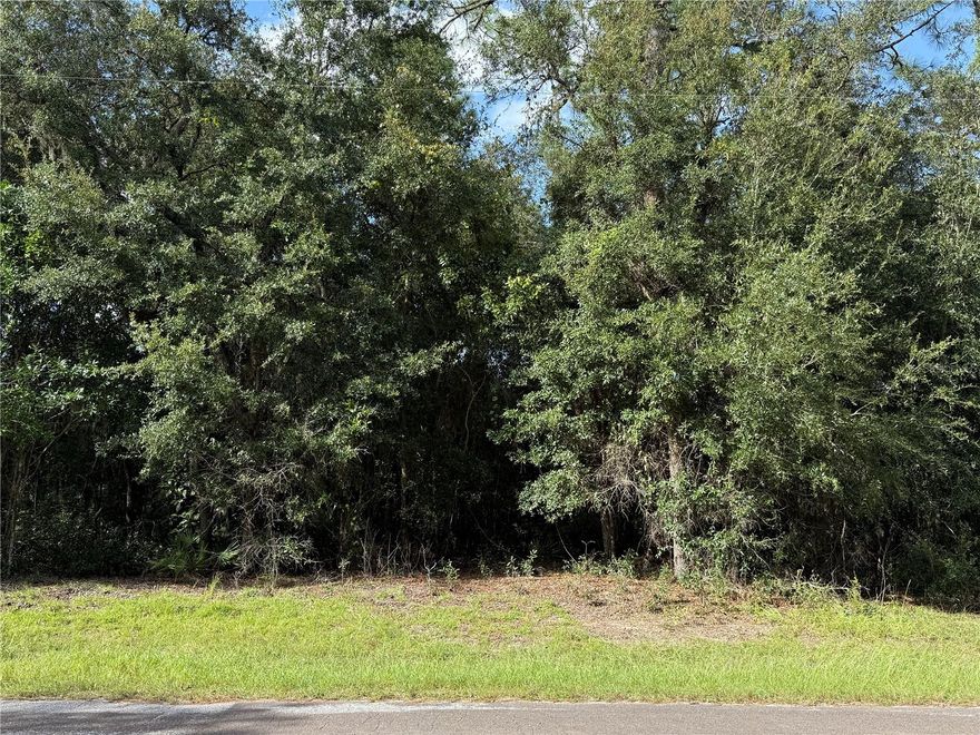 Looking for a great place to build your new home? And priced to Sell! This property is in a great central location in the city of Hernando between Inverness, Crystal River and Ocala. Therefore you can go in any direction to find what areas of shopping, restaurants, and medical offices that your looking for.