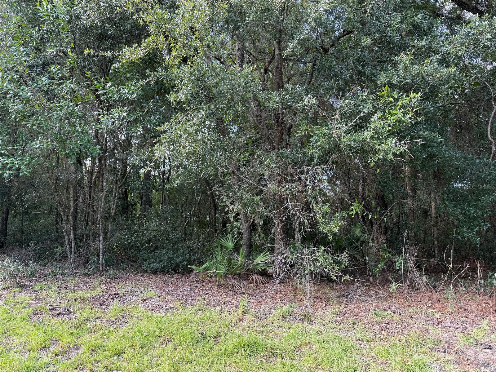 RIVER LAKES MANOR UNIT 01 - Land