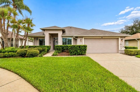 Photo of 5306 Waterleaf Court, Valrico, FL 33596 (MLS # TB8532922)