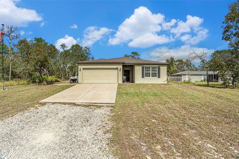Photo of 12211 Snowy Egret Avenue, Weeki Wachee, FL 34614 (MLS # TB8443139)