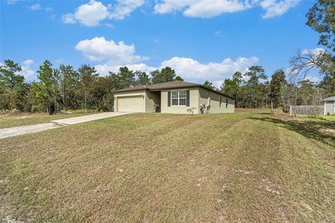Photo of 12211 Snowy Egret Avenue, Weeki Wachee, FL 34614 (MLS # TB8443139)