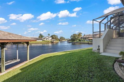 A home in PALM COAST