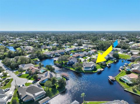 A home in PALM COAST