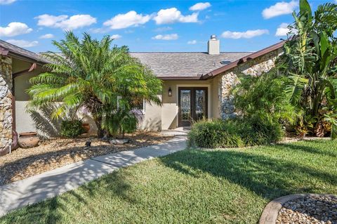 A home in PALM COAST