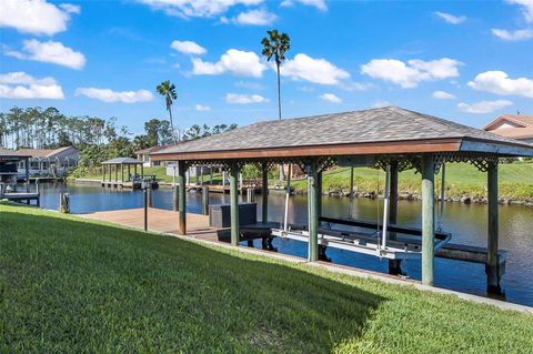 A home in PALM COAST