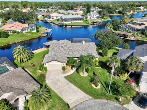 A home in PALM COAST