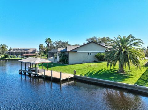 A home in PALM COAST