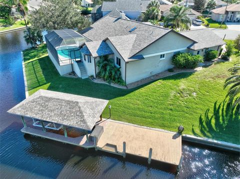 A home in PALM COAST