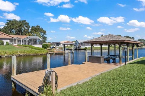 A home in PALM COAST