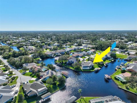 A home in PALM COAST