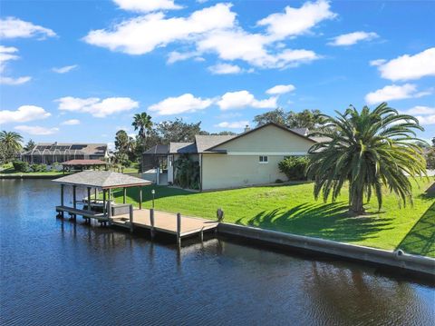 A home in PALM COAST