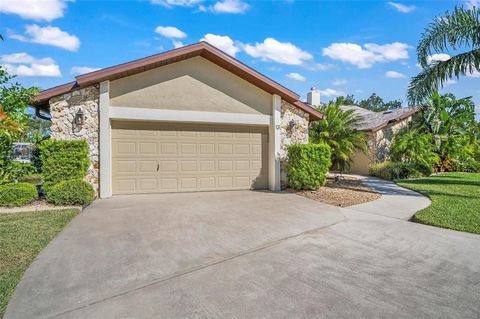 A home in PALM COAST