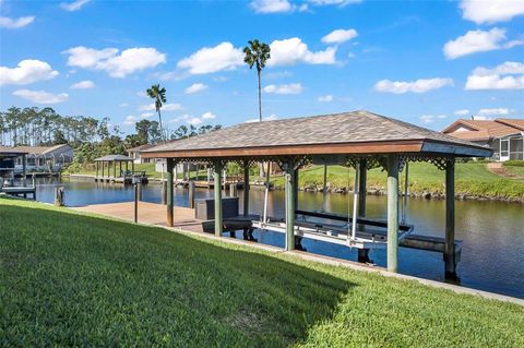 A home in PALM COAST