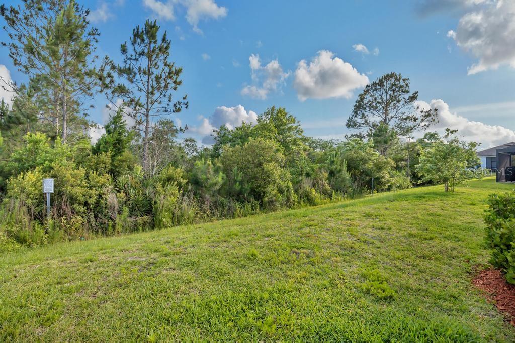 SAWMILL BRANCH/PALM COAST PARK P - Residential