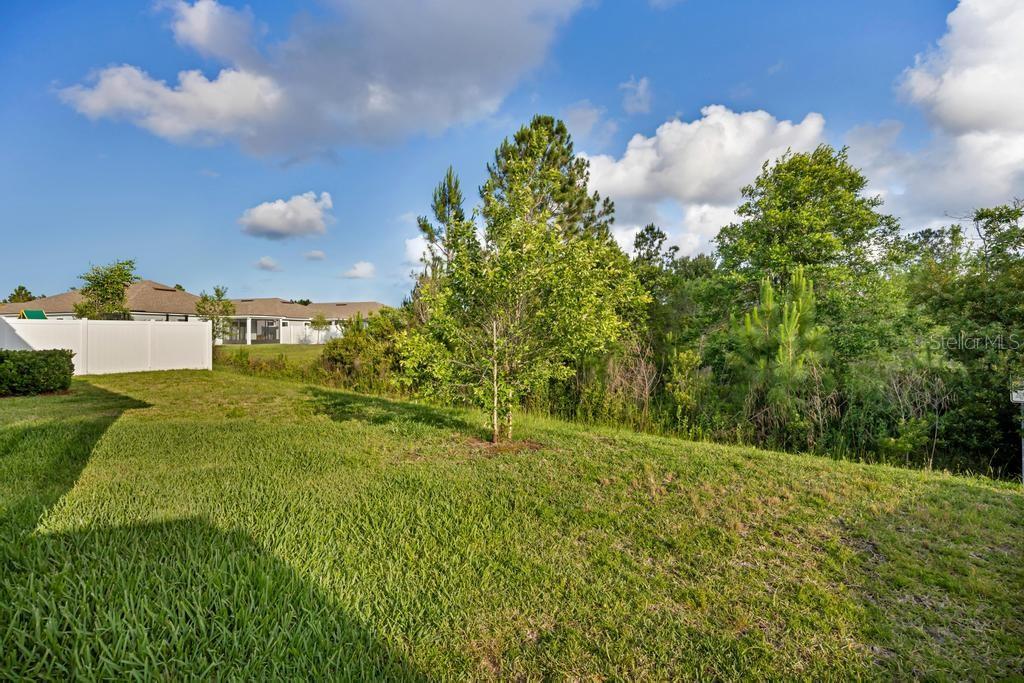 SAWMILL BRANCH/PALM COAST PARK P - Residential